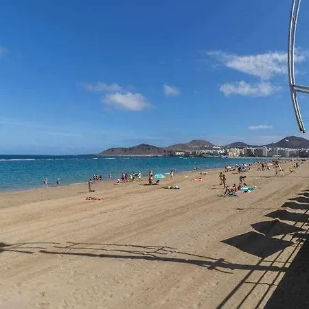 Oli Coral Canteras